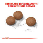 Royal Canin Digestive Care Medium pienso para perros, , large image number null
